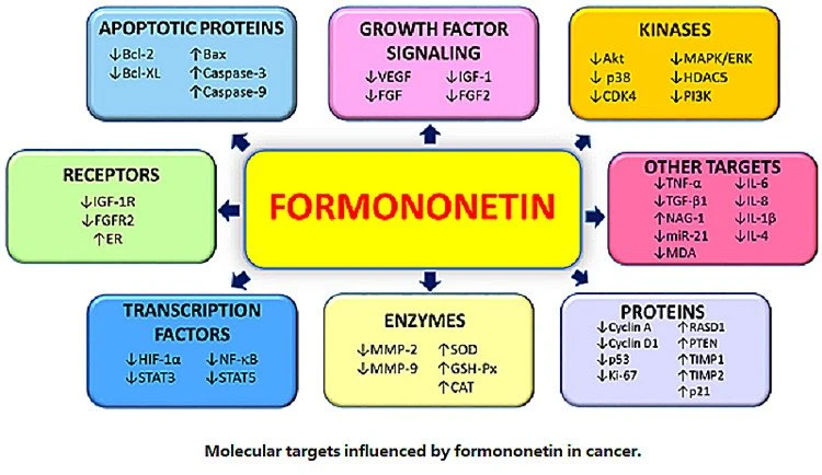 Molecular Targets Influenced by Formononetin in Cancer