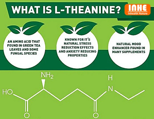 What is L-theanine