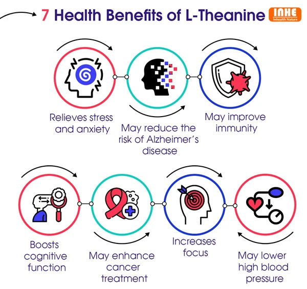 Health Benefits of L-Theanine
