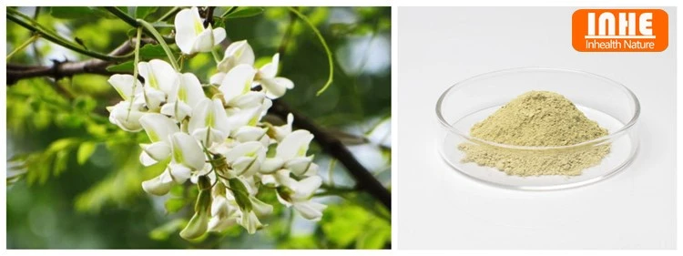 Rutin 98% powder from Sophora Japonica
