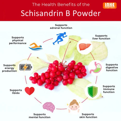 Gorgeous Health Benefits of Schisandrin B Powder
