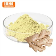 مسحوق مستخلص الزنجبيل 5٪ جينجيرول