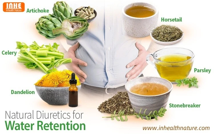 Diuretic Herbal Extracts