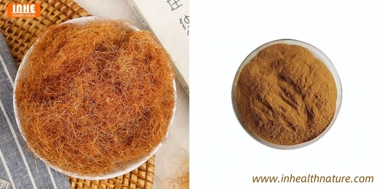 Corn Silk and Corn Silk Extract
