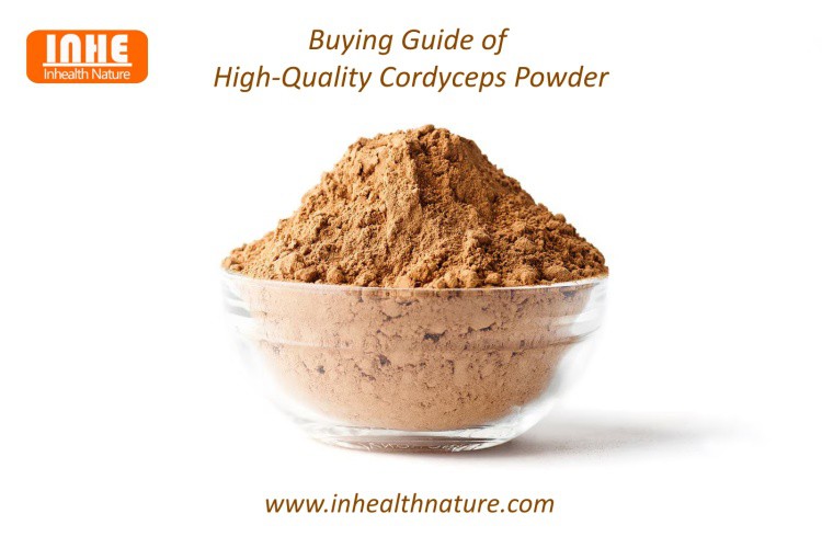 Buying Guide of High-Quality Cordyceps Powder