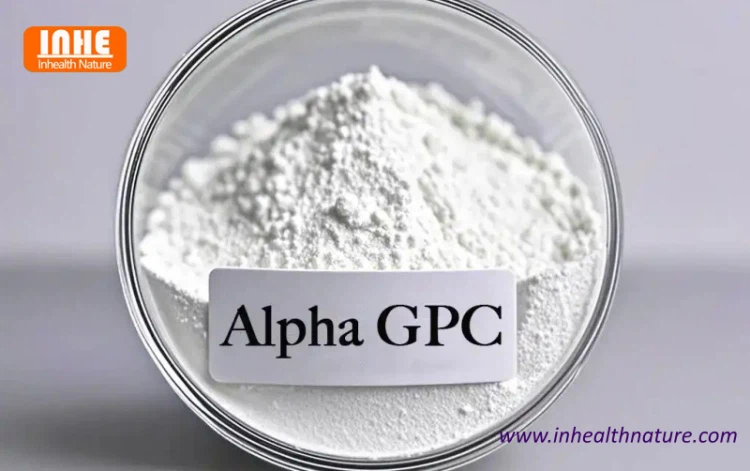 Alpha GPC Powder