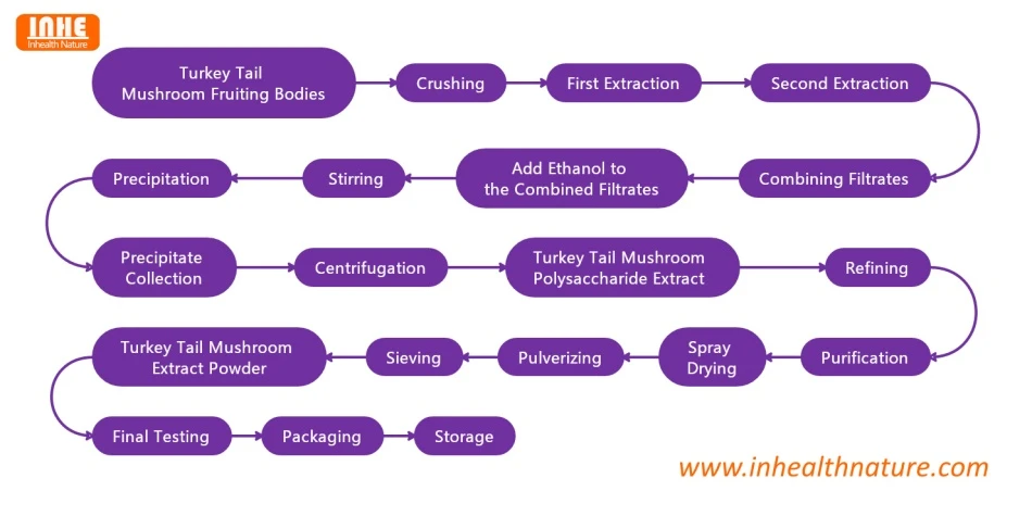 Inhealth Nature Turkey Tail Mushroom Extract Powder Flow Chart Inhealth Nature Turkey Tail Mushroom Extract Powder Flow Chart